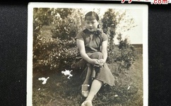 日本一道无马二区日本道专区